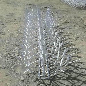 حفاظ شاخ گوزنی در مهرشهر کرج