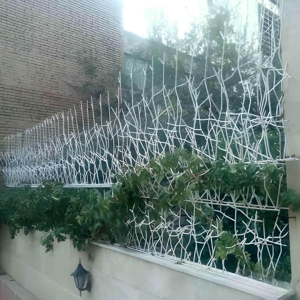 قیمت حفاظ شاخ گوزنی نوک تیز در آبسرد