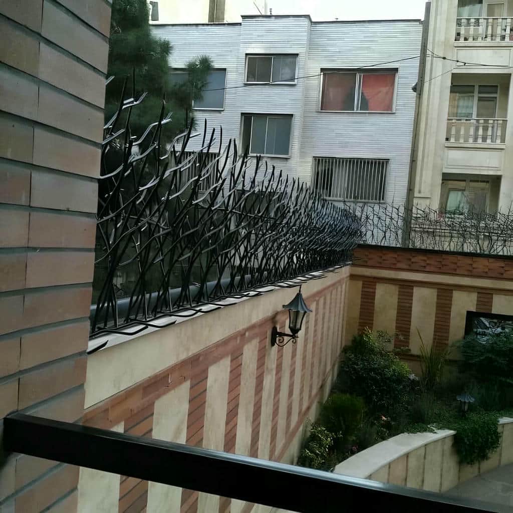 کارخانه حفاظ شاخ گوزنی دوام جوی در فیروزکوه