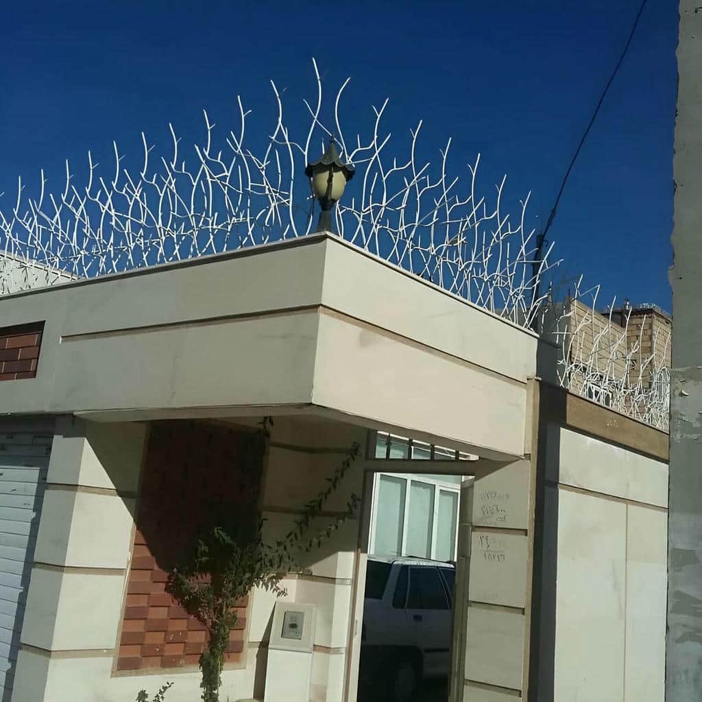 قیمت حفاظ شاخ گوزنی نوک تیز در عظیمیه کرج