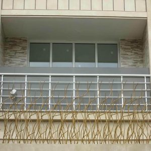 حفاظ شاخ گوزنی در چابهار