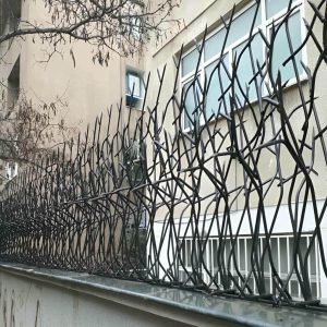 حفاظ شاخ گوزنی در فیروزکوه