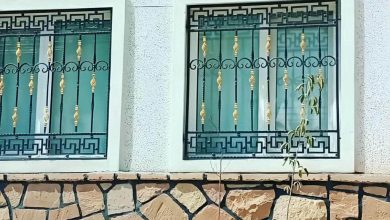 window-guard-iron-fence-wrought-iron-nx