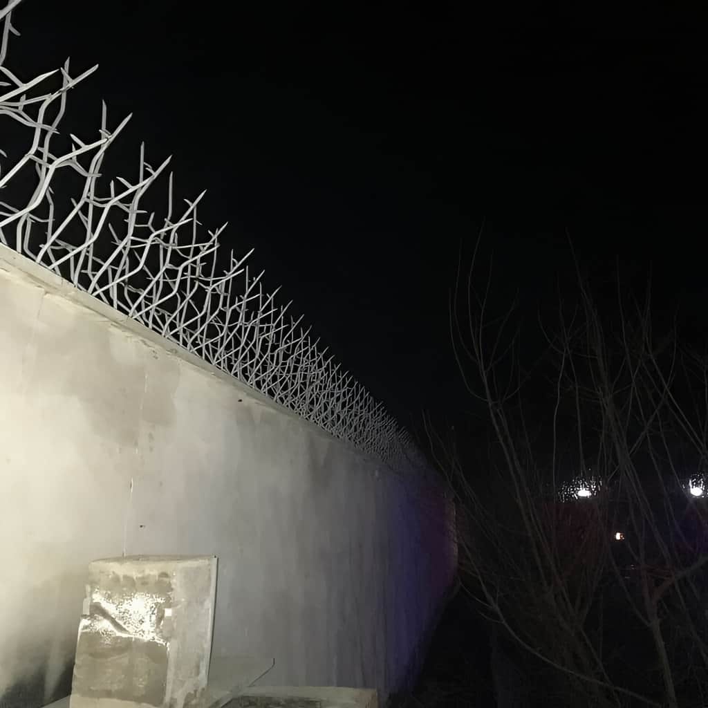 خرید حفاظ شاخ گوزنی پرتراکم امنیتی برای دیوار خانه