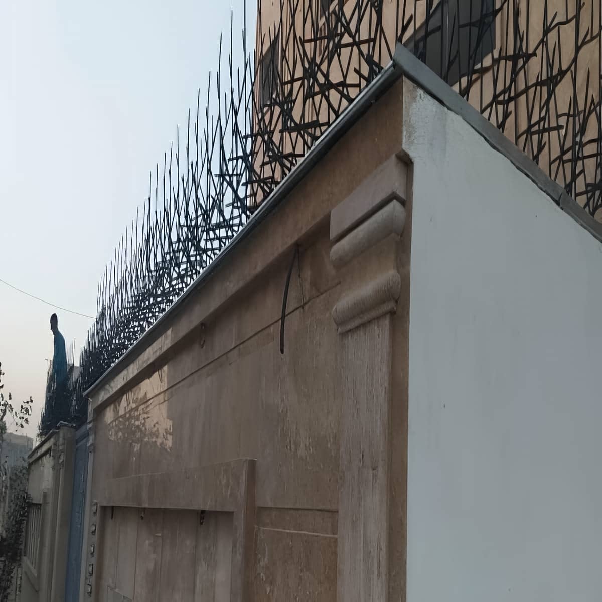 قیمت حفاظ شاخ گوزنی