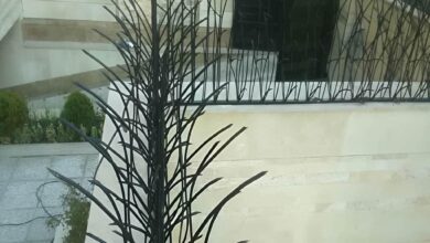 حفاظ نیزار فلزی با طراحی شاخه ای پروژه نوساز