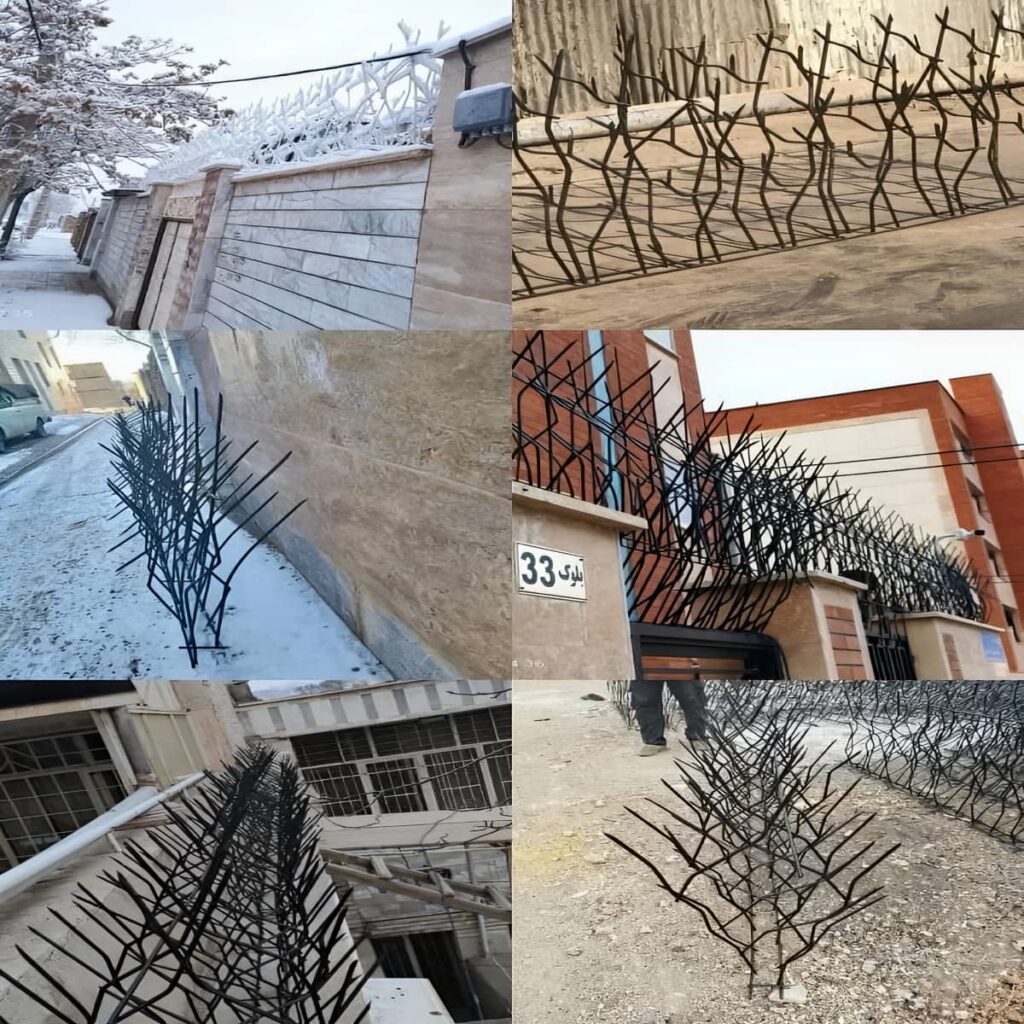 حفاظ دیوار زاهدان نمای ساختمان مسکونی