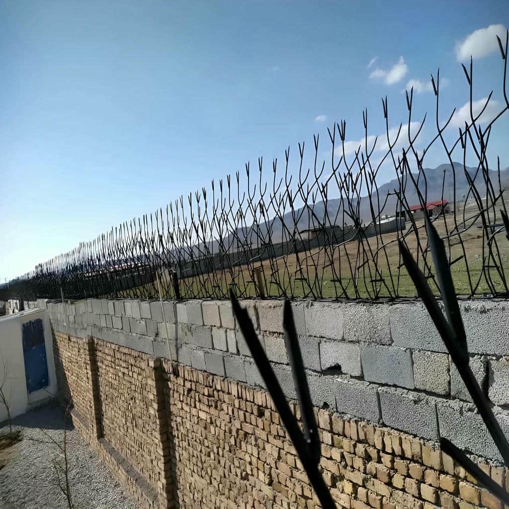 مدل شاخ گوزنی روی دیوار مسکونی