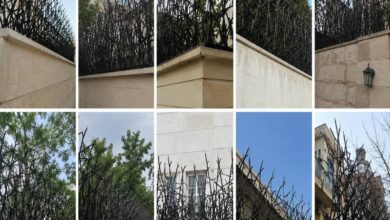حفاظ دیوار بیرجند مدل شاخ گوزنی فلزی