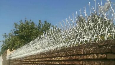 حفاظ دیوار شاخ گوزنی اراک نمای فلزی